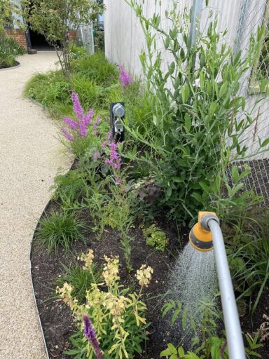 horatio's garden watering plants